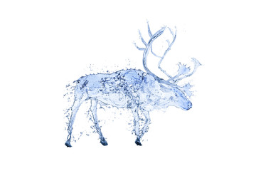 reindeer water splash 3D