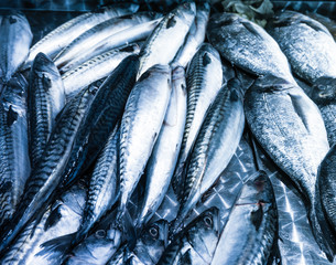 Obraz premium Fresh seafood. Fresh fish in the market