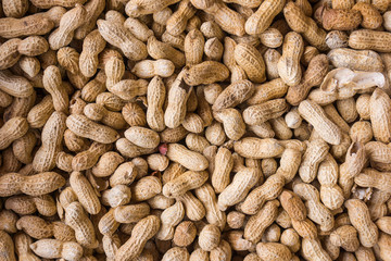 Peanuts seed. Many groundnuts in shells. Peanuts background