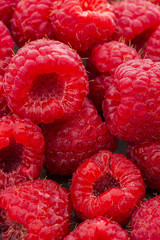 Freshly rinsed red raspberries