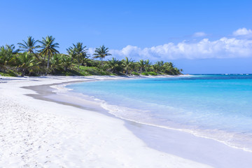 Belle plage de sable blanc des Caraïbes