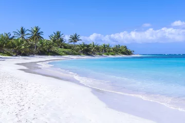 Crédence de cuisine en verre imprimé Plage et mer Belle plage de sable blanc des Caraïbes