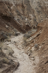 Dry stream bed for a trail