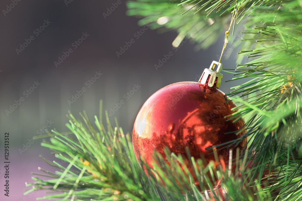 Wall mural Christmas colorful ball decorate on pine tree copy space blur ba