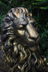 steel head lion