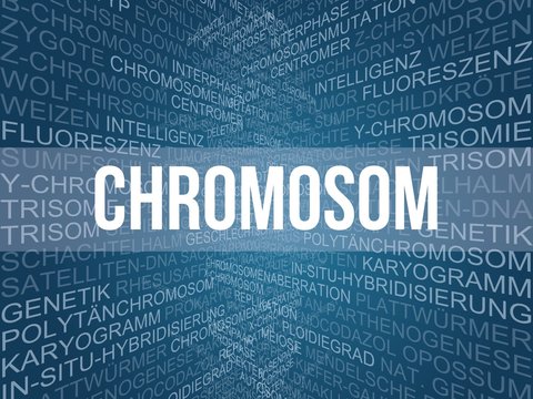 Chromosom