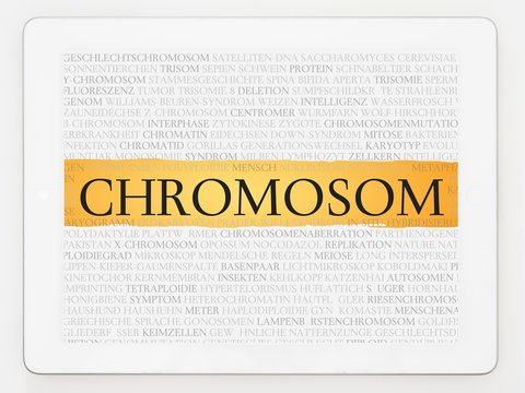 Chromosom