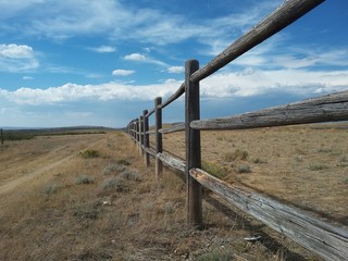 Wyoming Fenceline