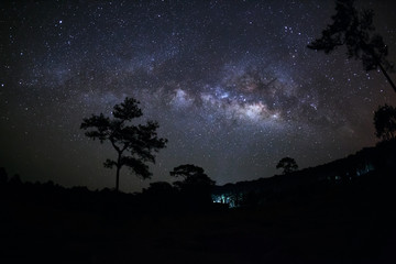 Milky Way and silhouette of tree at Phu Hin Rong Kla National Pa