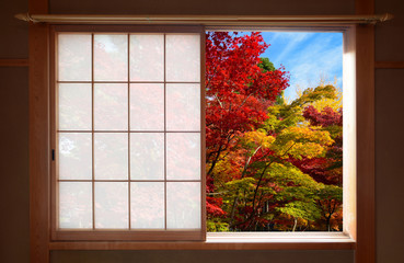 Fototapety  Las jesiennych kolorów widziany jesienią przez otwarte japońskie okno przesuwne
