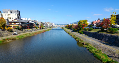 Fototapeta na wymiar Autumn colors along the beautiful Kamo River in the city center of Kyoto, Japan