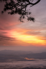 Naklejka na ściany i meble Mountain with mist at sunrise, Phu Kradueng national park ,Loei Thailand.