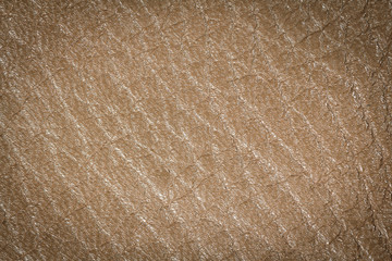 Brown leather texture, leather background for design with copy space for text or image. Pattern of leather that occurs natural.