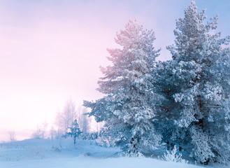 winter landscape. A rising sun in the winter park. Winter fog ea