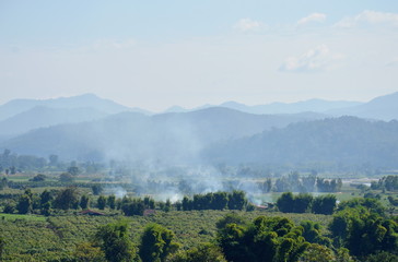 smoke from straw burning on paddy field