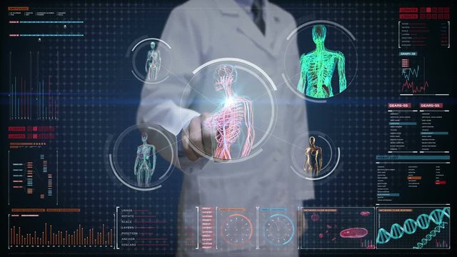 Doctor touching digital screen, Female body scanning blood vessel, lymphatic,  circulatory system in digital display dashboard. Blue X-ray view. 