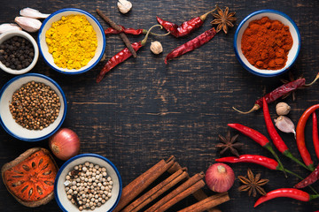 spices with ingredients on dark background. asian food, healthy or cooking concept.

