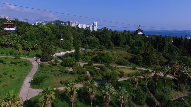 Aerial: Flying near cableway in Sochi arboretum. Sea view.