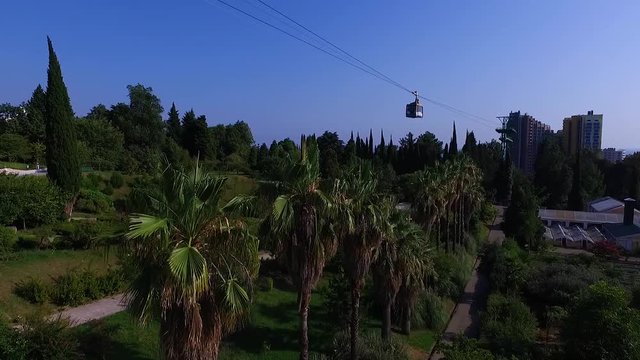 Aerial: Funicular in Sochi arboretum. Sea view.
