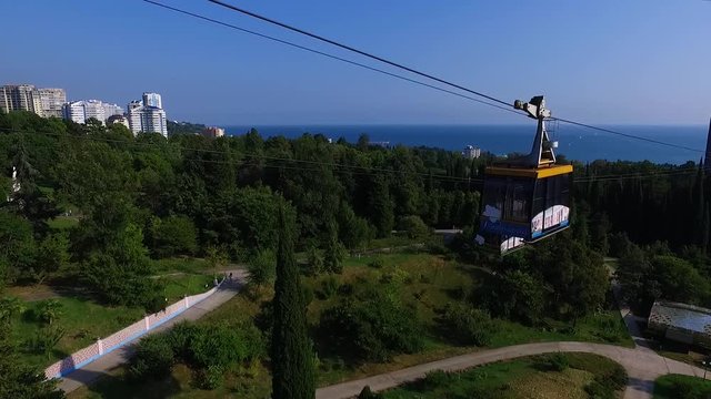 Aerial: Ropeway in Sochi arboretum. Sea view.