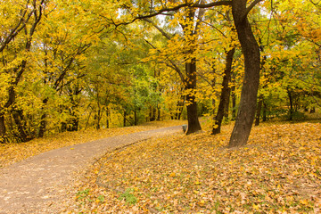 Fototapeta na wymiar Budapest, Hungary, autumn, park