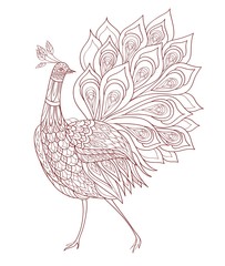 Coloring book page .Peacock ornamental. Fantasy bird. Vector illustration hand drawn. Thin line drawing.