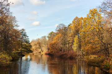 Fototapeta premium sunny autumn landscape