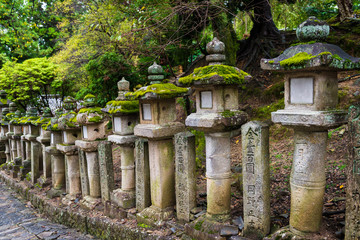 Stone lanterns in Kasuga-taisha shrine, Nara, Japan