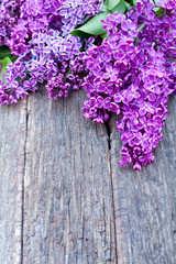 lilac on wooden surface