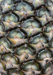 Fototapeta premium Pineapple texture
