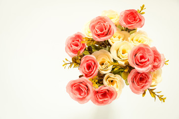 Roses isolated on a white background 