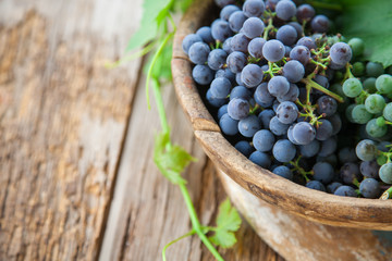 grapes in a bowl on a table, selective focus
