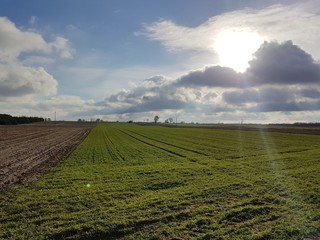 Pole jesień © michalsen