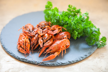 Boiled red crayfishes with a beer and green vegetableson a ceramic board. Close up. Selective focus.
