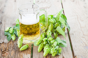 beer and hop cones. selective focus