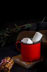 Mug with hot chocolate with marshmallow