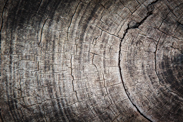 Details of wooden surfaces