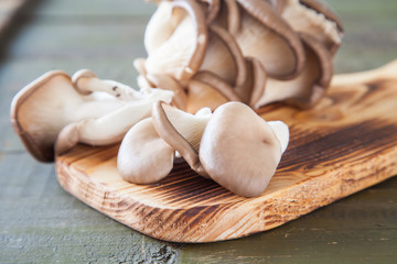 oyster mushroom mushroom on a table, selective focus
