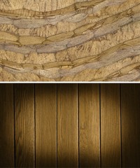 Wood texture. Lining boards wall. Wooden background. pattern. Showing growth rings. set