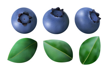 Set of Blueberries and leaves isolated on white background