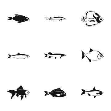 Species of fish icons set. Simple illustration of 9 species of fish vector icons for web