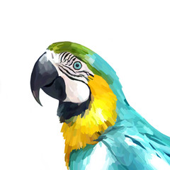 illustrator © polina