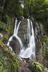 Fototapeta premium Beautiful waterfall in a mountain forest
