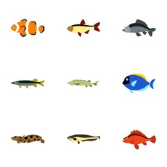 Fish icons set. Flat illustration of 9 fish vector icons for web