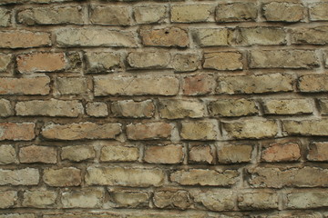 Brick wall texture