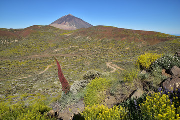 Teide auf Teneriffa