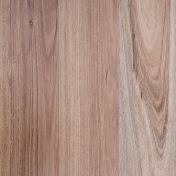 NSW Blackbutt