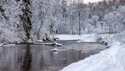 Beautiful winter landscape with snow covered trees.