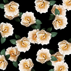 Beautiful floral background of cream roses 