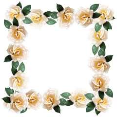 Beautiful floral background of cream roses 